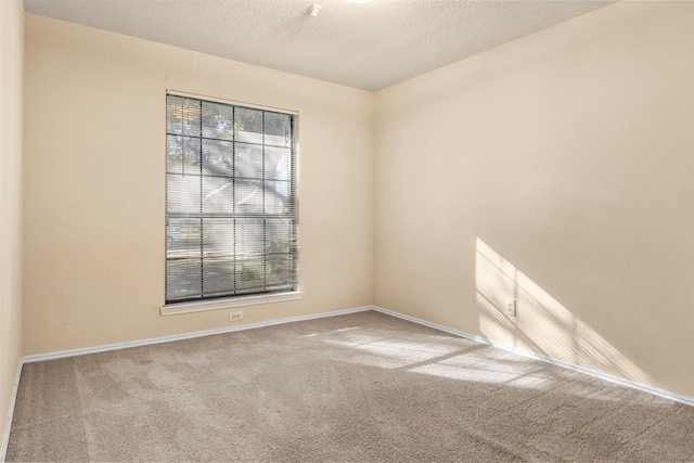 spare room with carpet and a textured ceiling