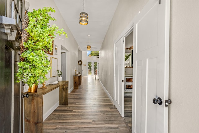 hallway featuring dark wood-type flooring