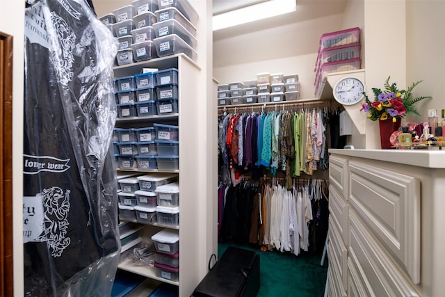 walk in closet with carpet floors