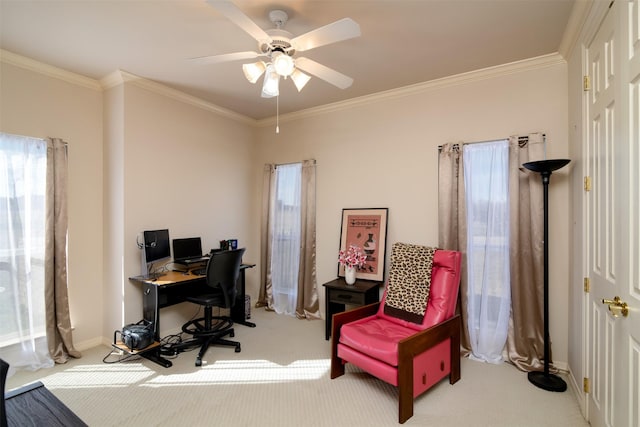 home office with carpet floors, ceiling fan, and crown molding