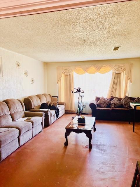 living room featuring a textured ceiling