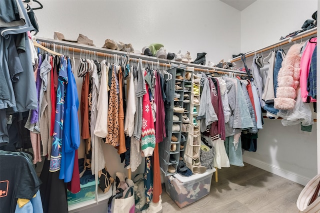 spacious closet featuring hardwood / wood-style flooring