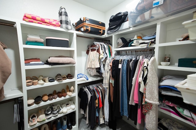 view of spacious closet