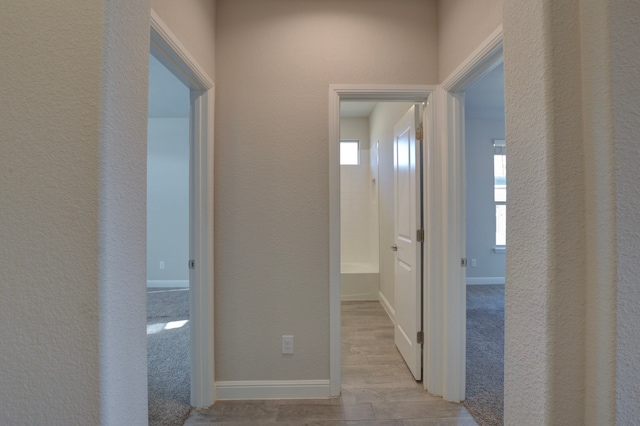 hallway with light hardwood / wood-style flooring