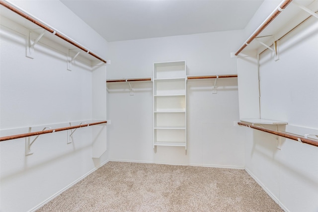 spacious closet with light carpet