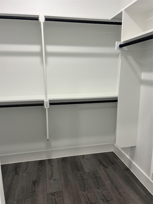 walk in closet featuring dark wood-type flooring