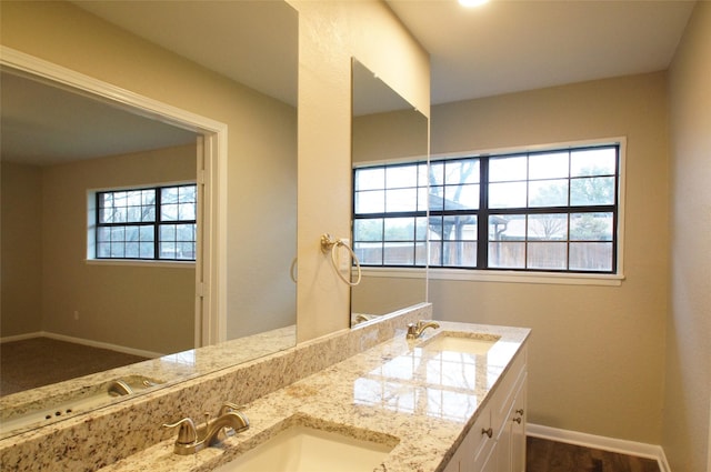 bathroom featuring vanity, wood-type flooring, and a wealth of natural light