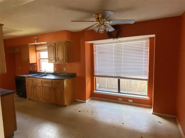 kitchen with dishwasher, ceiling fan, and sink