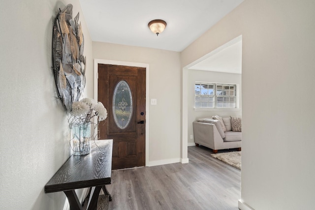 foyer with hardwood / wood-style flooring