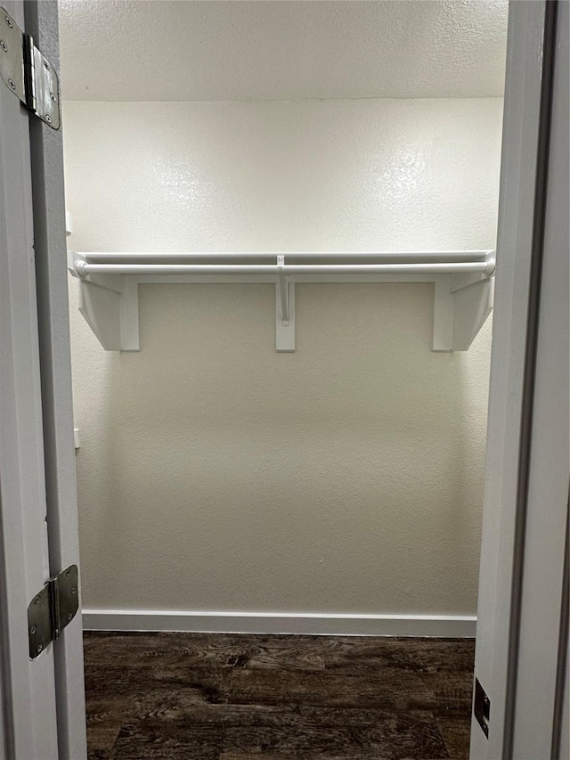 spacious closet featuring dark hardwood / wood-style floors