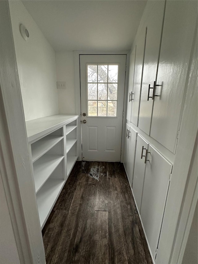 entryway with dark hardwood / wood-style floors