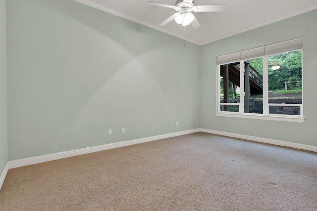 carpeted spare room with ceiling fan and crown molding