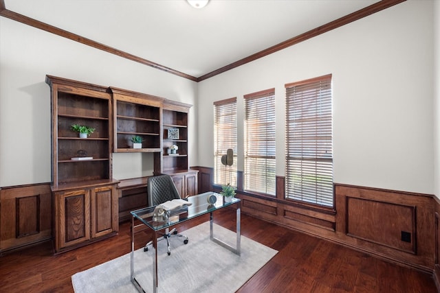 office space with dark hardwood / wood-style flooring and crown molding