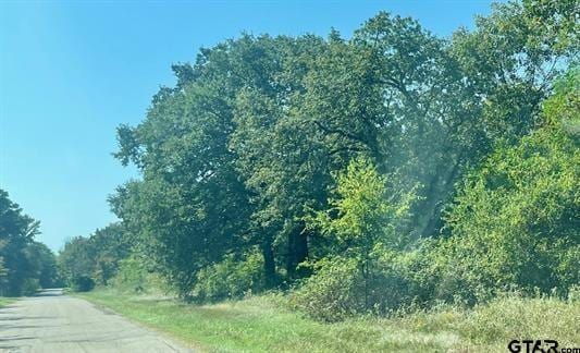 TBD County Road 1560, Alba TX, 75410 land for sale