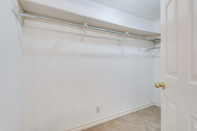 walk in closet featuring light colored carpet