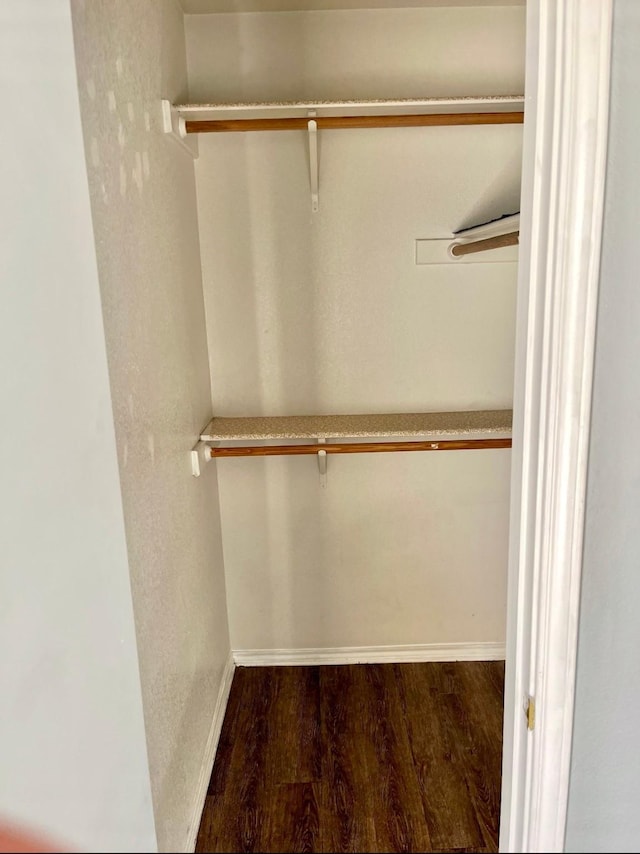 spacious closet with dark hardwood / wood-style flooring