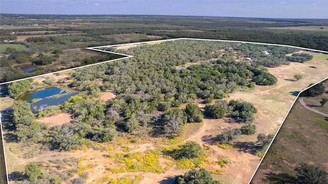 drone / aerial view with a water view and a rural view