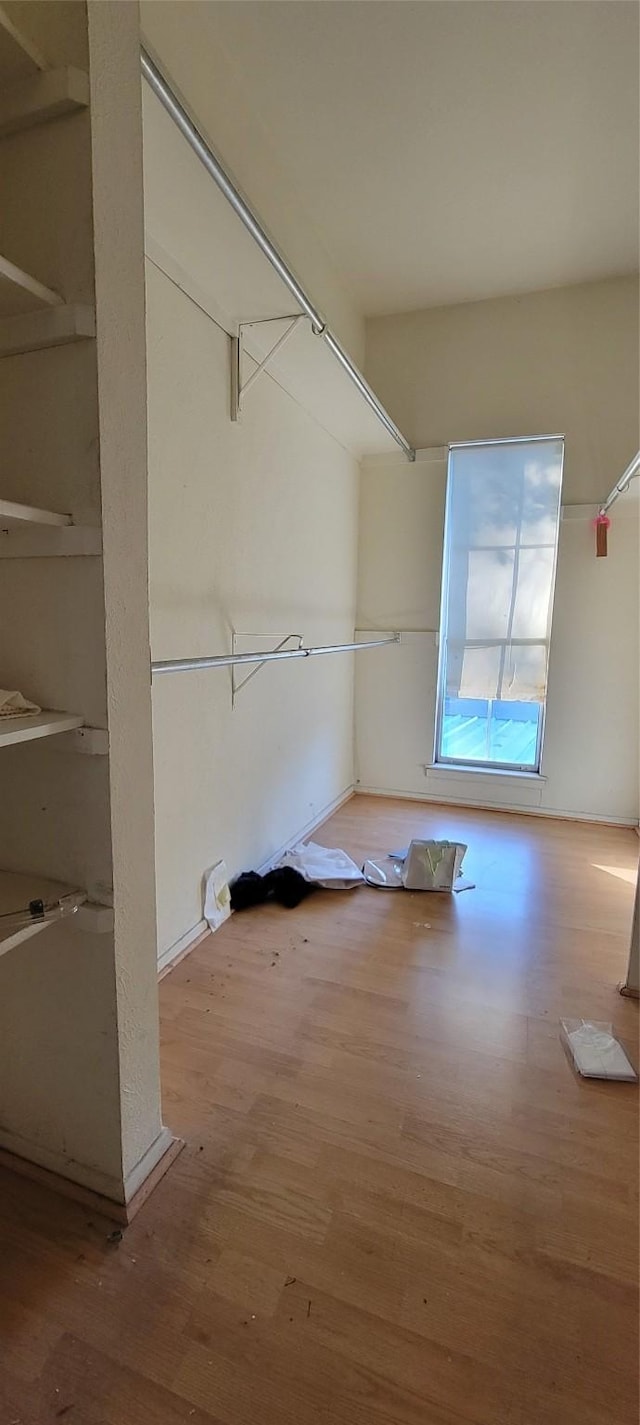 spacious closet featuring wood-type flooring