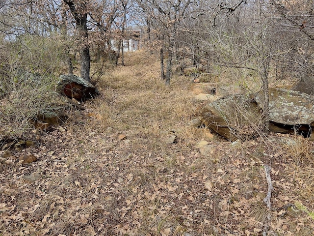 view of landscape