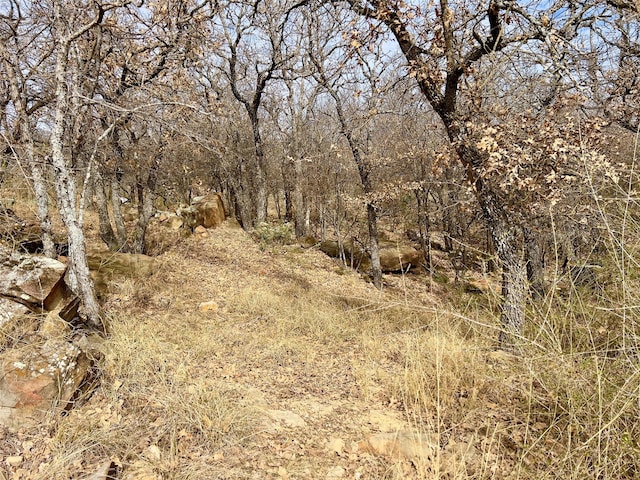 view of landscape