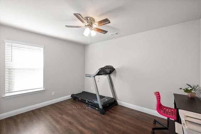 workout area featuring a wealth of natural light, ceiling fan, and dark hardwood / wood-style floors