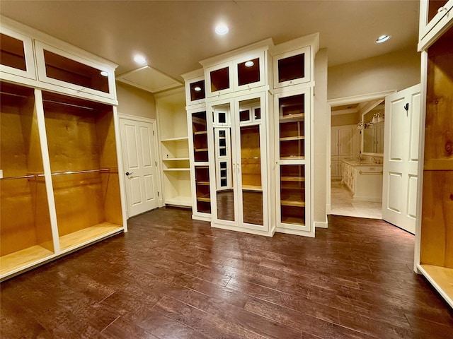 mudroom featuring dark wood-type flooring