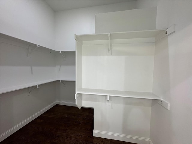 walk in closet featuring dark hardwood / wood-style flooring