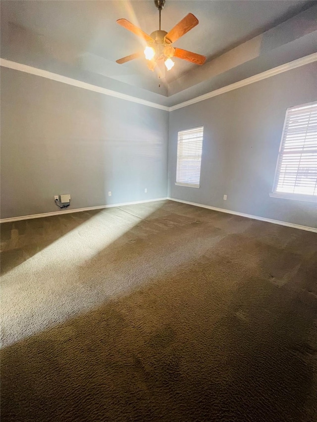 empty room with carpet, a raised ceiling, ceiling fan, and ornamental molding