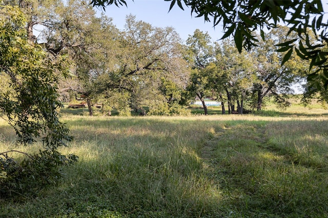 view of landscape