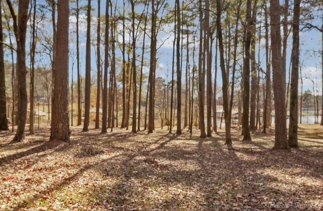 view of local wilderness