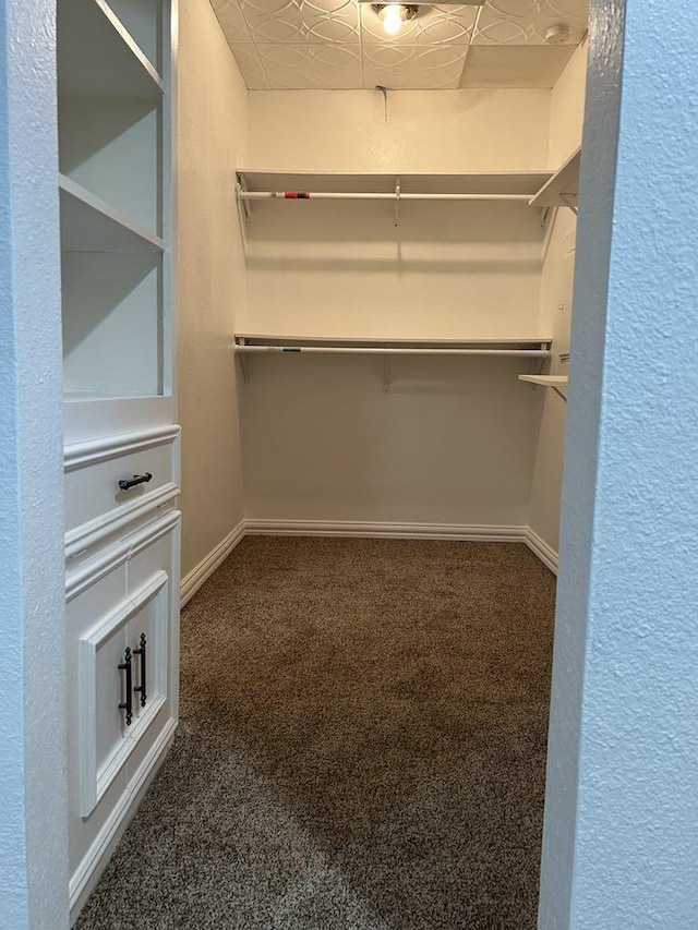 walk in closet featuring dark colored carpet