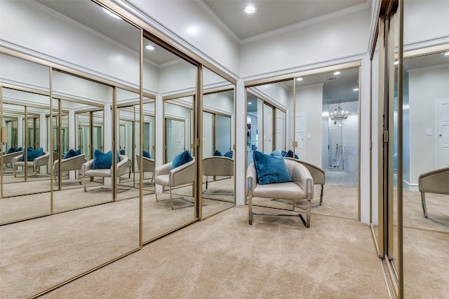 interior space with an inviting chandelier, light colored carpet, two closets, and ornamental molding