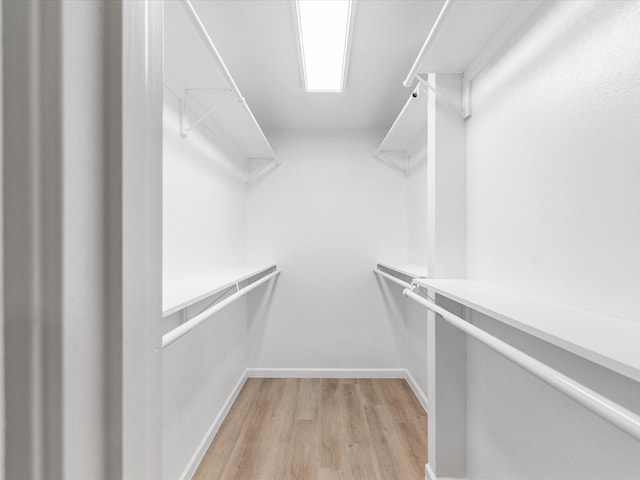 spacious closet featuring light hardwood / wood-style flooring