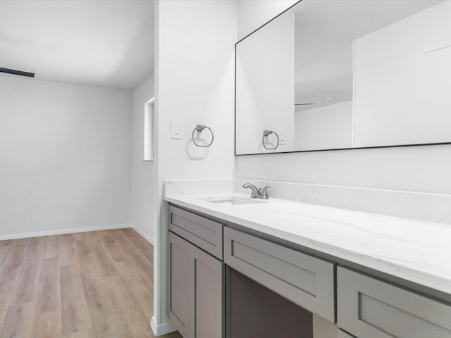 bathroom with vanity and wood-type flooring