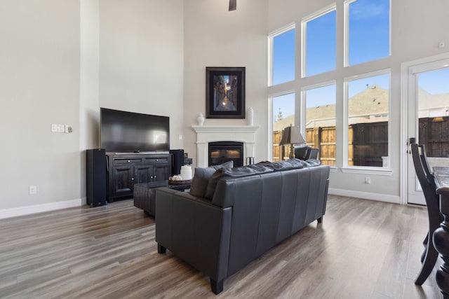 living room with wood-type flooring