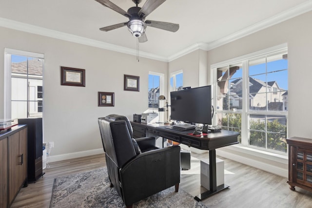 home office featuring crown molding, light hardwood / wood-style flooring, and ceiling fan