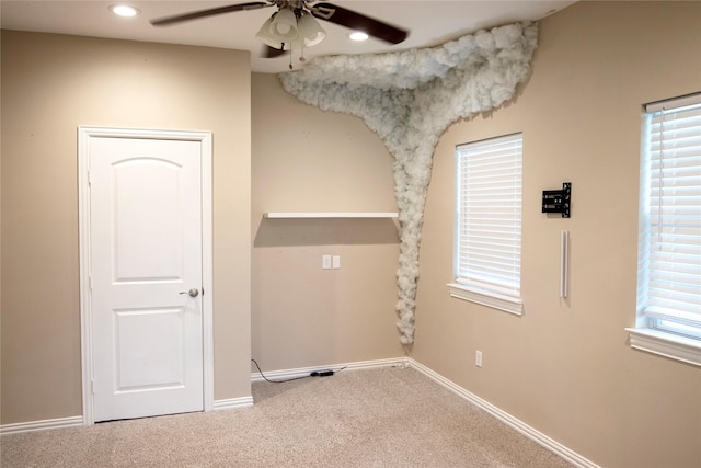 laundry area featuring carpet flooring and ceiling fan