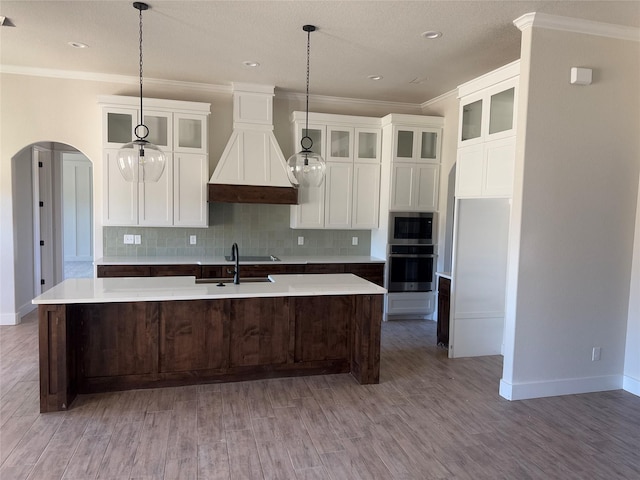 kitchen with tasteful backsplash, custom range hood, stainless steel appliances, pendant lighting, and an island with sink