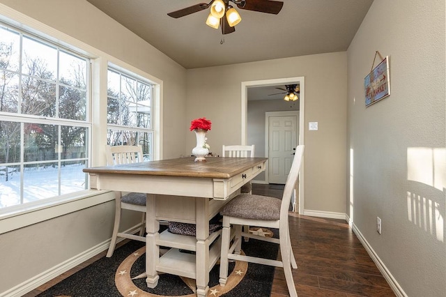 dining room featuring plenty of natural light, dark wood-type flooring, and ceiling fan