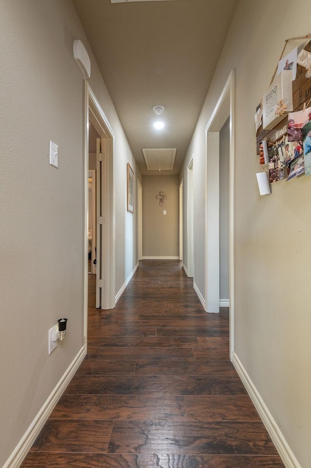 corridor featuring dark wood-type flooring