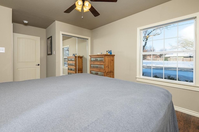 bedroom with ceiling fan, a closet, and dark hardwood / wood-style floors