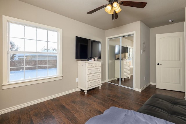 bedroom with ceiling fan, a closet, and dark hardwood / wood-style floors