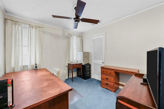 carpeted office with ceiling fan and ornamental molding