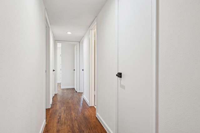 hall featuring dark hardwood / wood-style floors