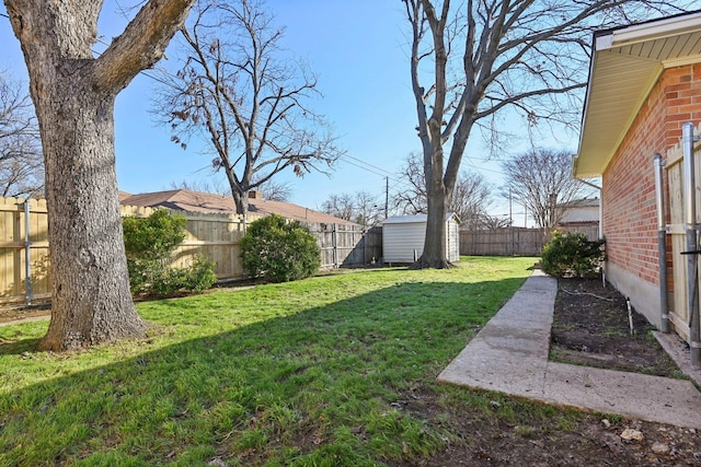 view of yard with a storage shed