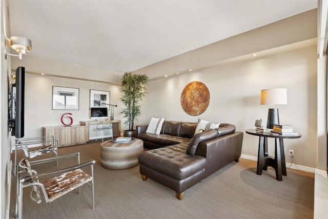 living room with carpet flooring and radiator