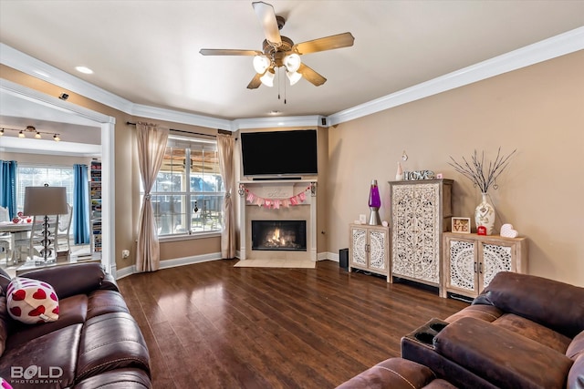 living room with ceiling fan, dark hardwood / wood-style floors, and ornamental molding