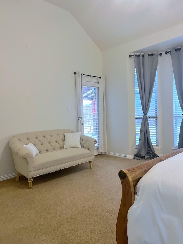 bedroom featuring lofted ceiling and carpet floors