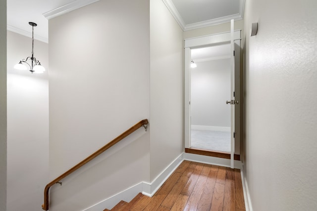 staircase featuring wood-type flooring, an inviting chandelier, and crown molding