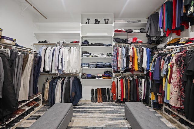 view of spacious closet